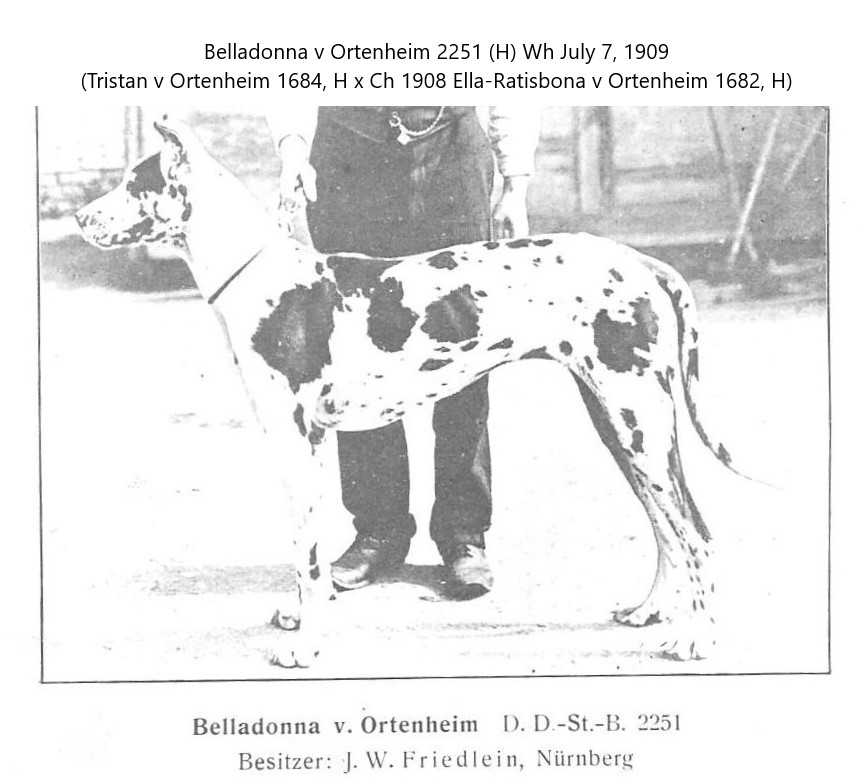 Belladonna v Ortenheim